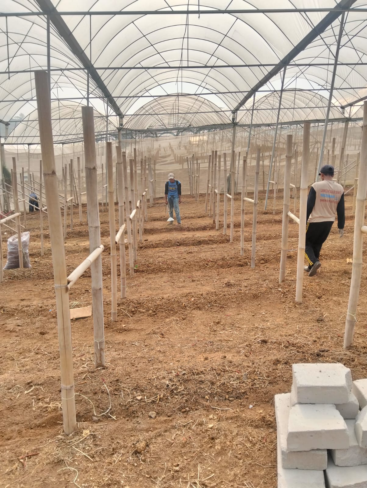 Greenhouse Pertanian