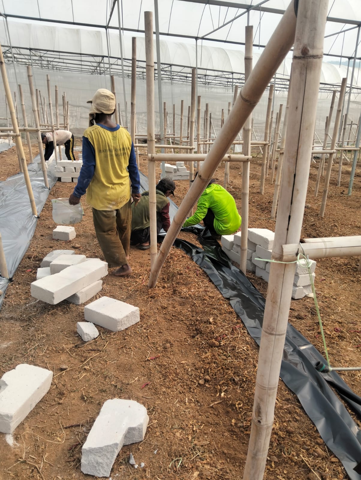 Greenhouse Pertanian